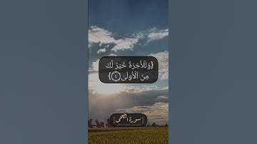 سورة الضحى الآية ١ الى ٨ بصوت الشيخ محمد صديق المنشاوي