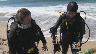 Volunteers Go Deep To Clean The Water At Dockweiler State Beach