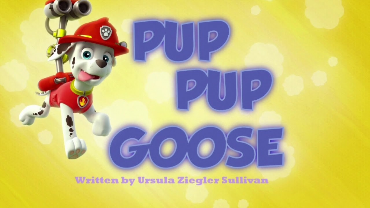 PAW Patrol Pup Pup Goose Title Card - YouTube