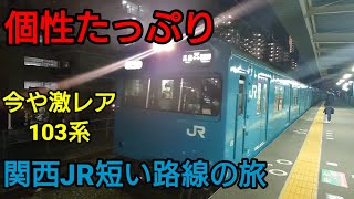 【和田岬線・羽衣線】関西・JR短い路線の旅【関西空港線・紀勢本線】