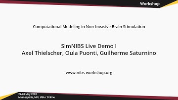 SimNIBS Tutorial I / Computational modeling in NIBS 2020