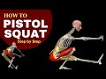 The anatomy of the Pistol Squat (Step-by-Step Progression) 3D anatomy