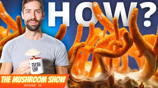 This Is What A REAL Functional Mushroom Farm Looks Like (TMS EP 29)