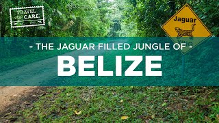 Athlete Statistics The Jaguar filled Jungle of Belize - Behind the Shot
