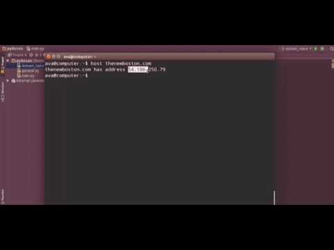 Python Website Scanner IP Address