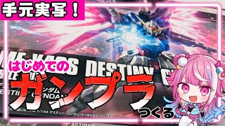 【ガンプラ/雑談/初見歓迎】初ガンプラ！デスティニーガンダム作る！第三回目【新人VTuber / 魔桜エナ】！