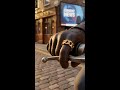 Biker Chain Ring — Symbol of Strength — by JewelHub.co.uk