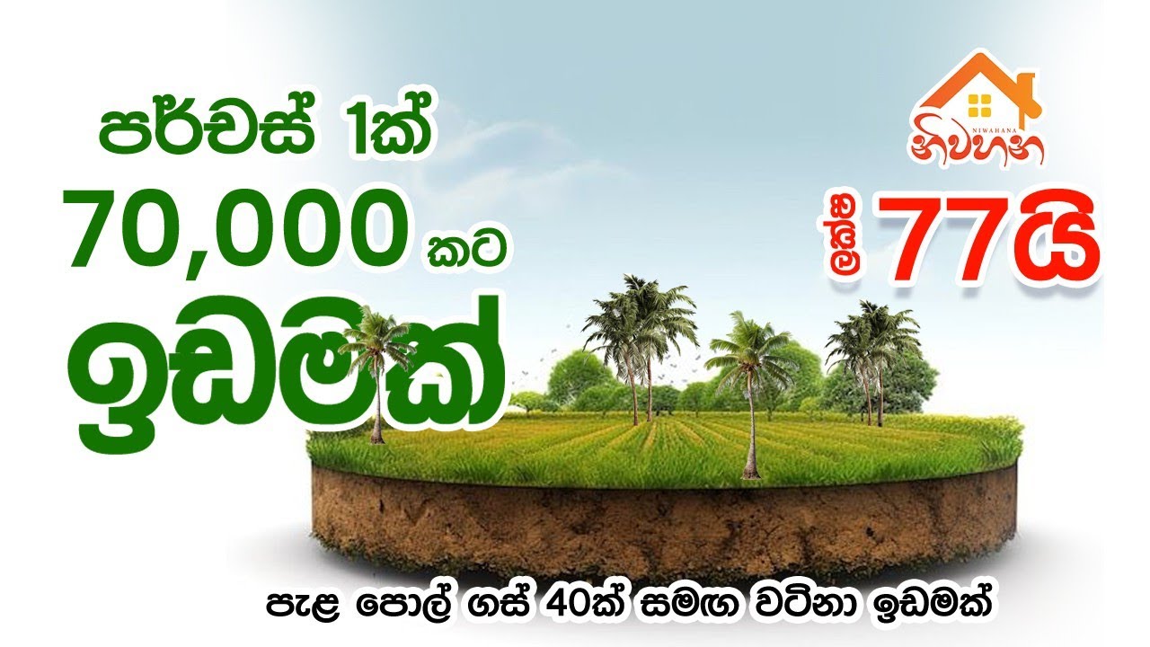 පර්චස් 110ක සාරවත් ඉඩමක් රු. 70,000ට | ගොවිපොළකට සුදුසුයි