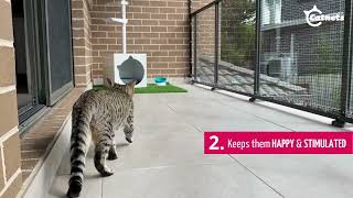 5 Reasons To Build A Catio Catnets