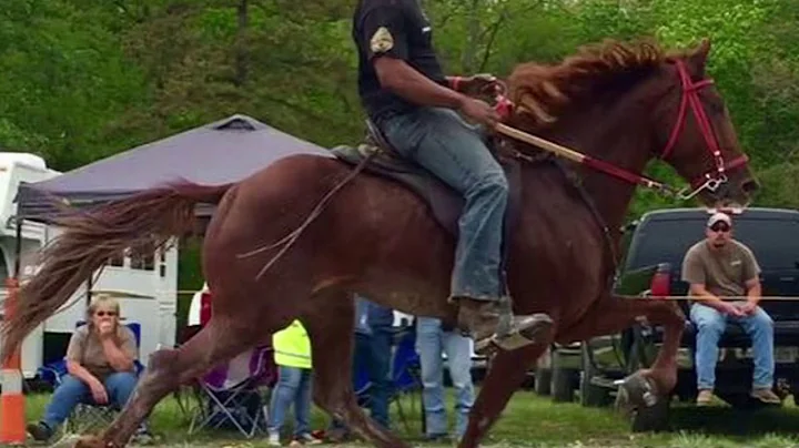 Me and Cajun Singlefooting