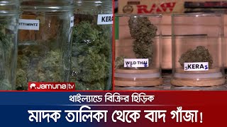 গাঁজা বৈধতা পেল থাইল্যান্ডে; বাহারি দোকান সাজিয়ে বিক্রি! | Cannabis Law