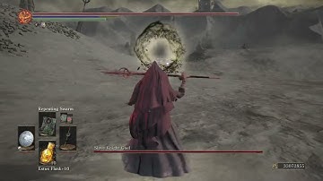 [111 Builds] Blood Priest vs Gael (Dark Souls III: Cinders Mod)