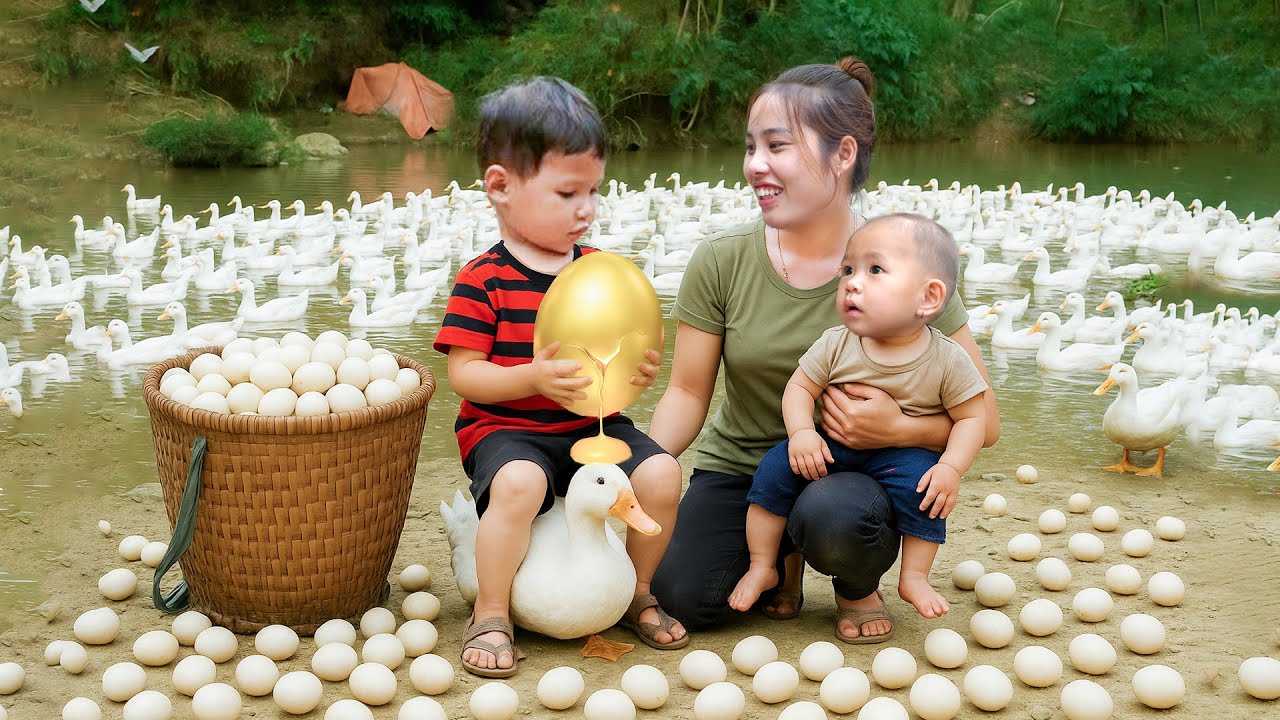 Harvest 4500 balut duck eggs, picking bamboo shoots and making pickled bamboo shoots with chili