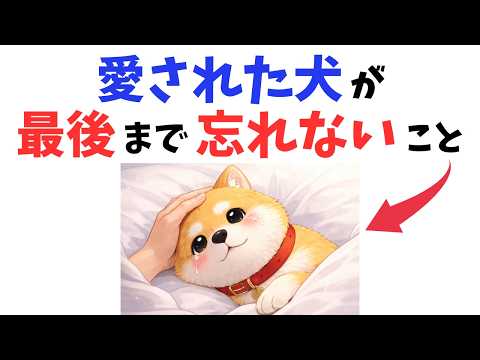【涙腺崩壊】愛された犬が最後まで覚えていることのサムネイル