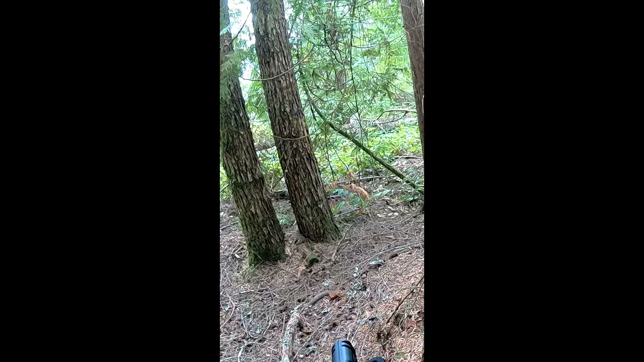 Painful Neck Shot Paintball Shorts YouTube