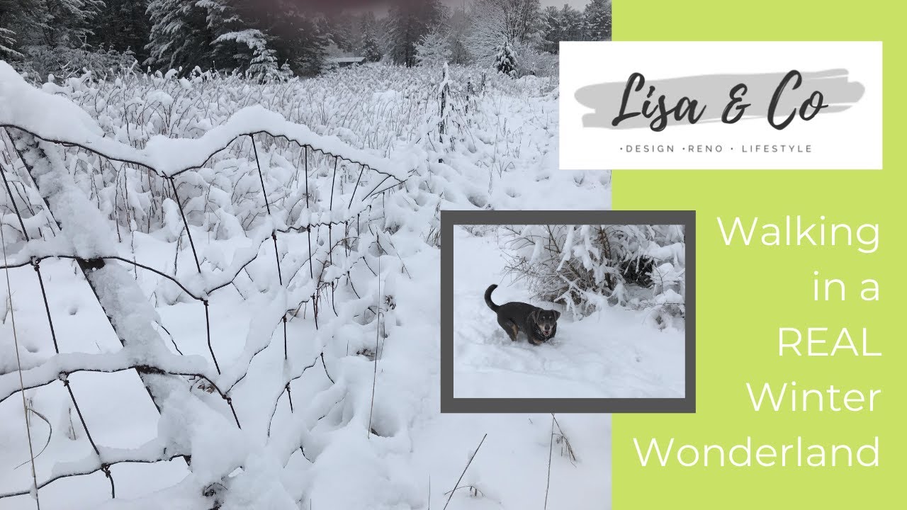 Walking In A Winter Wonderland Perry Como