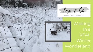 Walking in a Real Winter Wonderland - Come with us...