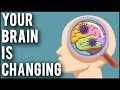 How Social Media Is Changing Your Brain