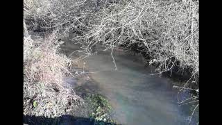 Flooded 0 @AlexanderJTurner