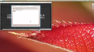 Pardus 2011.1 Dama Dama...Best KDE Distro..