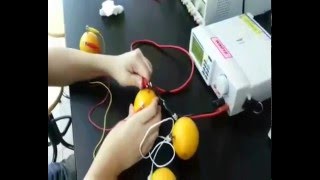 UEEA 1243  Assignment   TUTORIAL GROUP 7