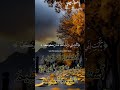 beautiful Quran recitation by qari