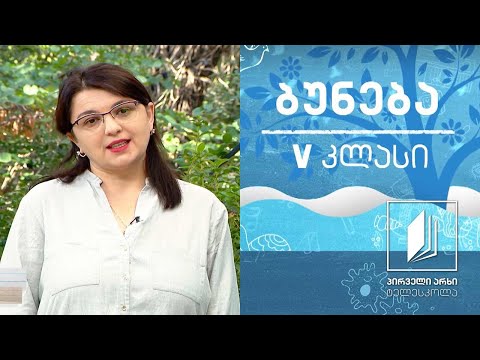 ბუნება V კლასი - ჩვენი სამყარო #ტელესკოლა