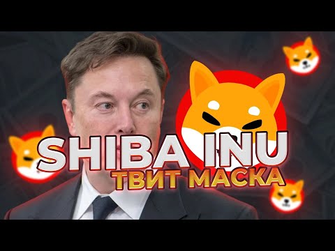 ВАЖНО! ТВИТ МАСКА СВЯЗАН С SHIBA INU!? ВАЖНОЕ ОБЬЯВЛЕНИЕ КОМАНДЫ SHIB! НОВОСТИ SHIBA INU!