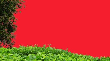 Latest Green screen effects, kinemaster mod apk, kinemaster app