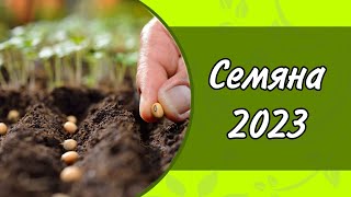 ОБЗОР СЕМЯН 2023