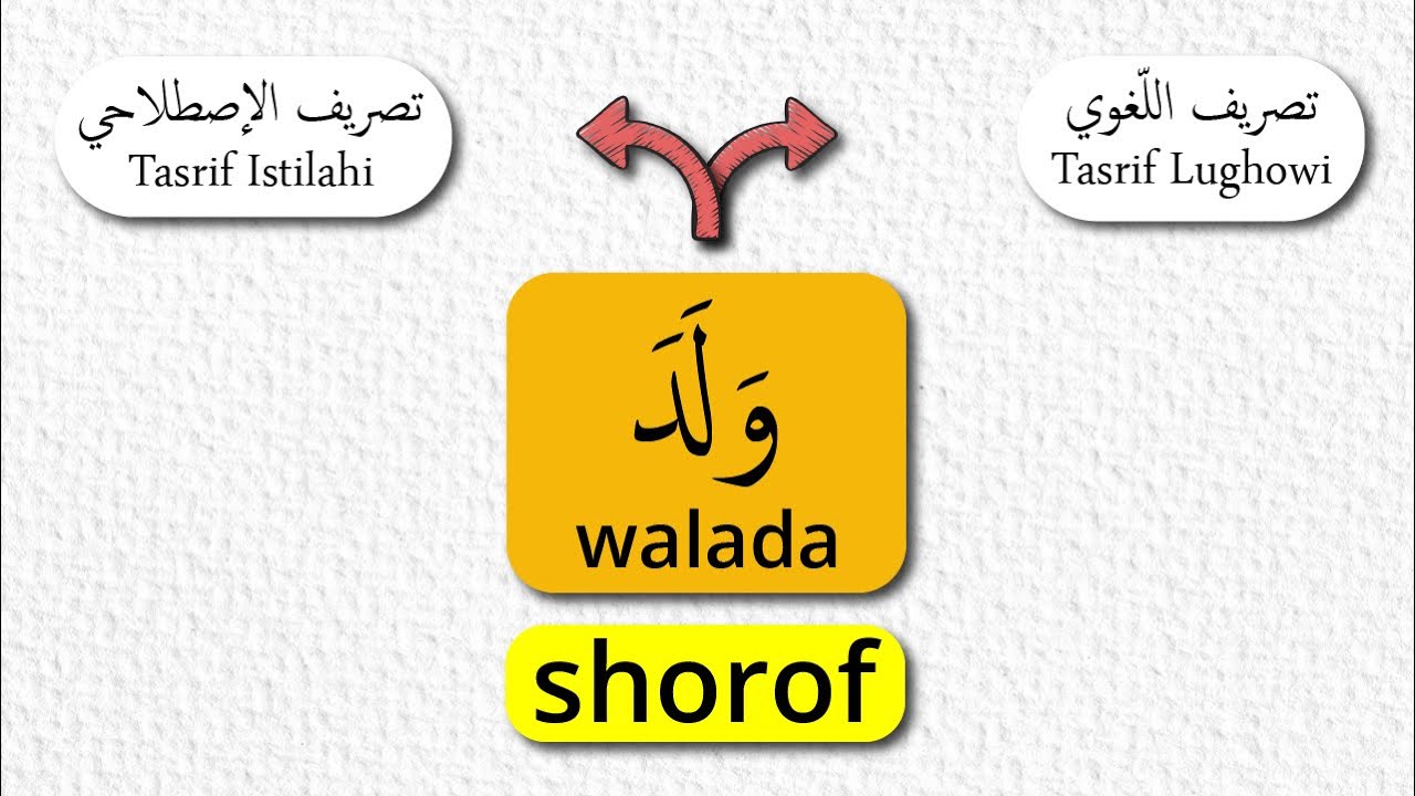 Walada Walada Yalidu (وَلَدَ - يَلِدُ) (melahirkan/memperanakkan) - Tasrif ...