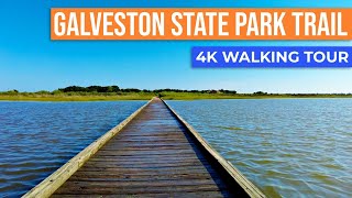 Galveston State Park Clapper Rail Trail Walk with me on an island trail in Galveston Texas