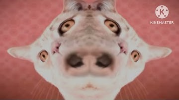 Preview 2 Numa cat 2022 V1 to V3 With 6 effects squared 