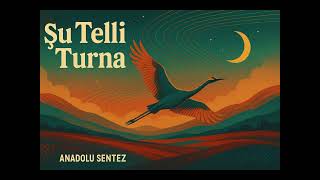Şu Telli Turna (Cover) - Anadolu Sentez Resimi