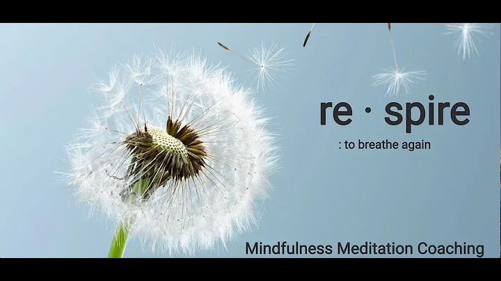 MINDFULNESS MEDITATION | A Quick Practice to Reset...