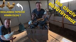 CİVCİVLERİ BAHÇEYE GÖTÜRDÜM TAM 5 KOLİ - HEDİYE HOLLANDA TEPELİSİNİ KİM KAZANDI?