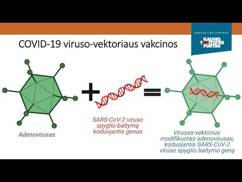 Video: Ketvirtoji COVID vakcinos dozė visiems? Nebūtinai