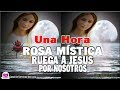 Canciones A La Virgen Rosa Mistica / Una Hora De La Rosa Mística 2018