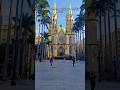 Catedral Metropolitana de São Paulo# Catedral Metropolitana de São Paulo#brazil#travel #reels