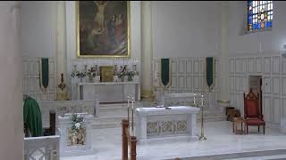 Basilica of St. Joseph Church Live Stream
