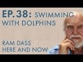 Ram Dass Here and Now – Episode 38 – Swimming with Dolphins