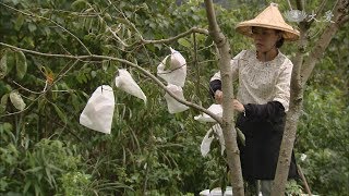 [路長情更長] - 第36集 / The Journey Toward Blessings (ENG CC)
