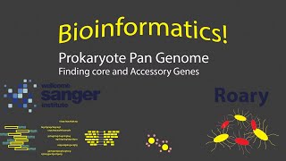 Bioinformatics - Prokaryote Pan Genome with Roary! (Timestamps) screenshot 3