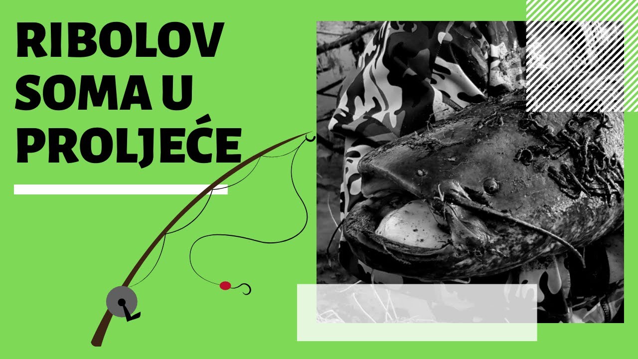 💥 Ribolov soma u proljeće - jednostavno je, ako znate što raditi! ✔️