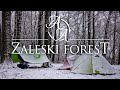 Winter backpacking and cozy campfire cooking  zaleski state forest 4k