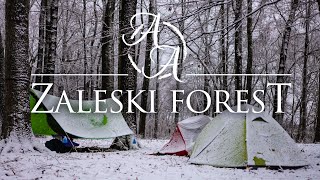 Winter Backpacking And Cozy Campfire Cooking Zaleski State Forest 4K