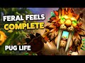The most complete spec  feral druid pug life