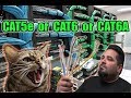 What Ethernet Cable to Use? Cat5E? Cat6? Cat6A? Cat7?