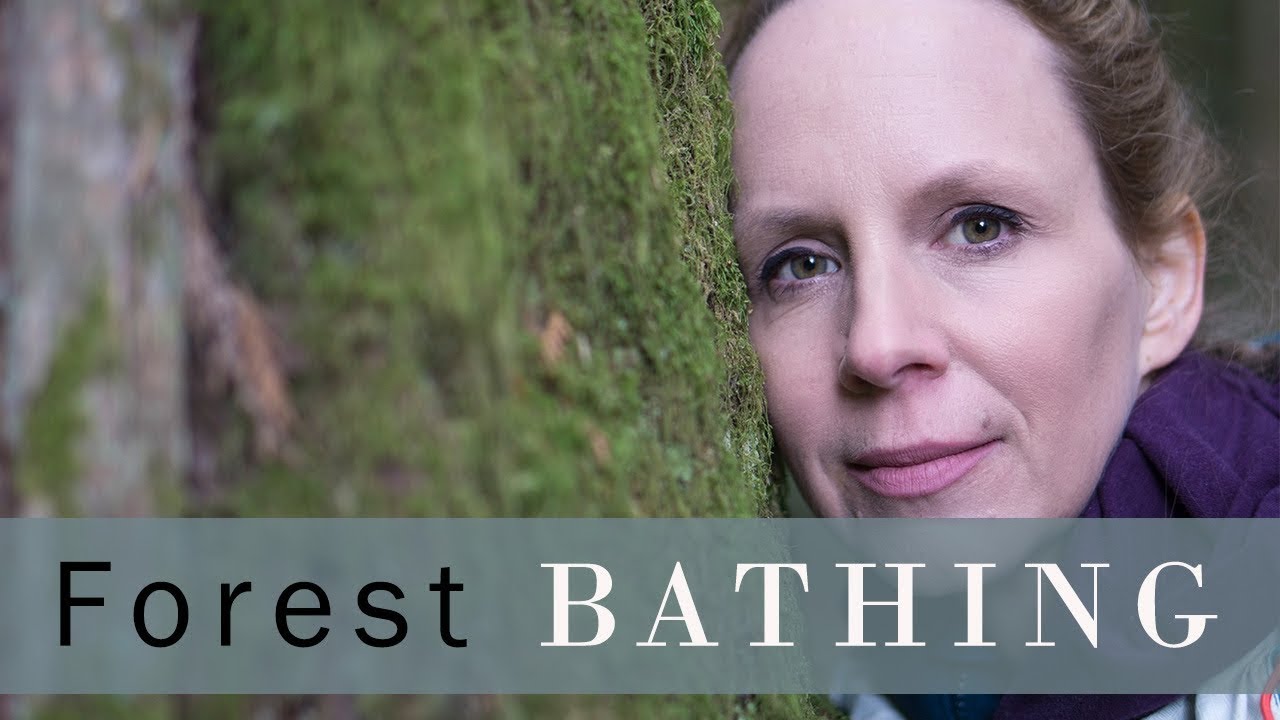 Forest Bathing Shinrin Yoku in Victoria BC at Francis King Regional ...