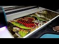 Large format UV printing machine (Ceramic tile printing)